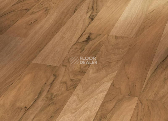 Ламинат Parador Basic Plus 200 1426416 Грецкий Орех фото 1 | FLOORDEALER